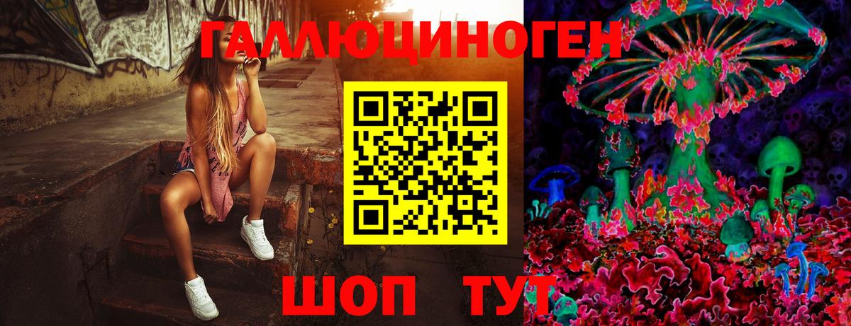 Псилоцибиновые грибы Cubensis  Галлюциногенные грибы Psilocybine cubensis  Вход с VPN  Шали 